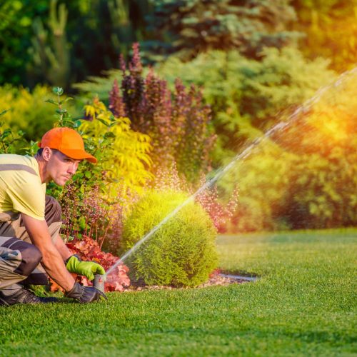 Charlotte-Irrigation-Systems-Services