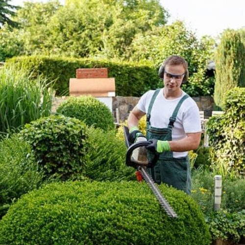 Gardening-Business-for-Sale