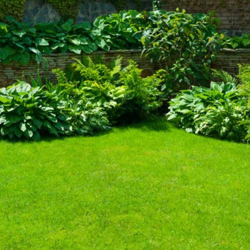 Landscaping-Costs-in-Dubai-Cover-16-11