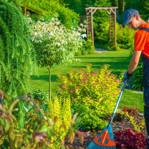 Raking-in-the-Garden-1024x684