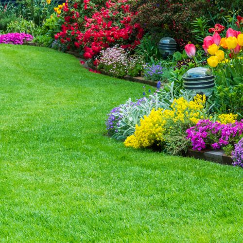garden-maintenance