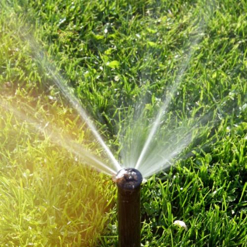 smartsprinkler-getty-AdrianHancu-hero